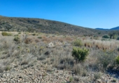 Terreny no urbanitzable en venda a la España, el Fondó dels Frares, ref.: TR106552 foto
