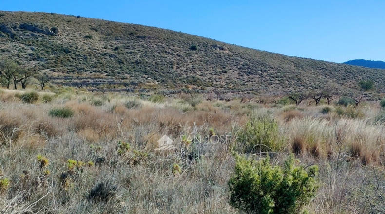 Alicante - Hondón de los Frailes - 11200m2