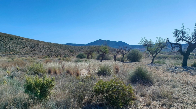 Alicante - Hondón de los Frailes - 11200m2