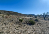 Terreny no urbanitzable en venda a la España, el Fondó dels Frares, ref.: TR106552 foto