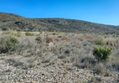 Terreny no urbanitzable en venda a la España, el Fondó dels Frares, ref.: TR106552 foto