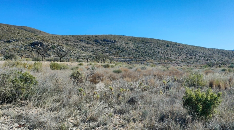 Alicante - Hondón de los Frailes - 11200m2