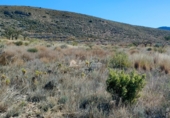 Terreny no urbanitzable en venda a la España, el Fondó dels Frares, ref.: TR106552 foto