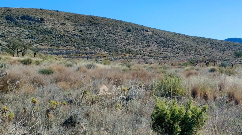 Alicante - Hondón de los Frailes - 11200m2
