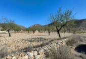 Non-developable land for sale on España, Orihuela, ref: TR106551 photo