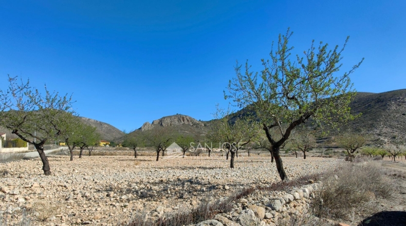 Alicante - La Canalosa - 16576m2