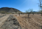 Non-developable land for sale on España, Orihuela, ref: TR106551 photo