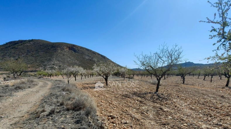 Alicante - La Canalosa - 16576m2