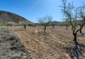 Non-developable land for sale on España, Orihuela, ref: TR106551 photo
