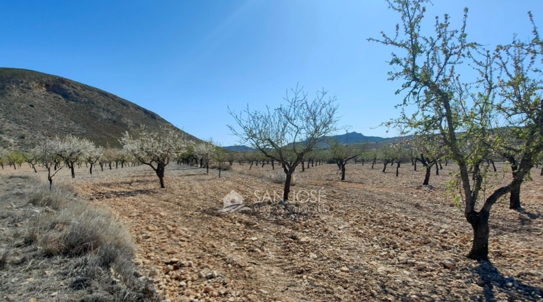 Alicante - La Canalosa - 16576m2