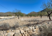 Non-developable land for sale on España, Orihuela, ref: TR106551 photo