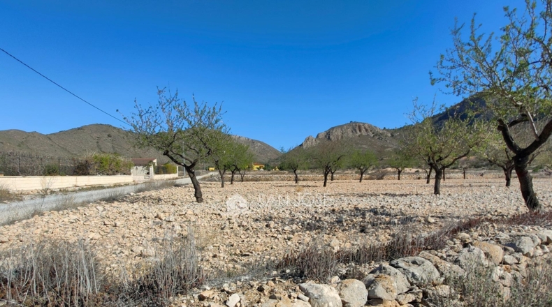 Alicante - La Canalosa - 16576m2