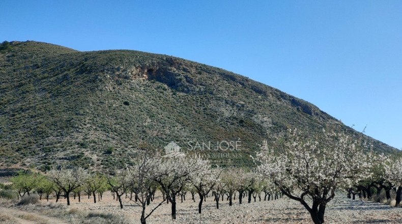 Alicante - La Canalosa - 16576m2