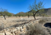 Non-developable land for sale on España, Orihuela, ref: TR106551 photo