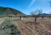 Non-developable land for sale on España, Orihuela, ref: TR106551 photo