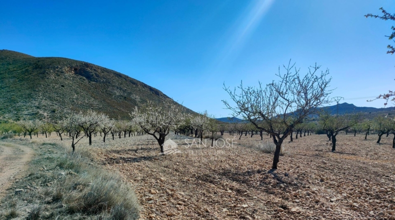Alicante - La Canalosa - 16576m2
