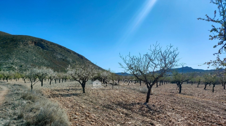 Alicante - La Canalosa - 16576m2