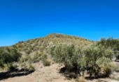 Non-developable land for sale on España, Abanilla, ref: TR106550 photo
