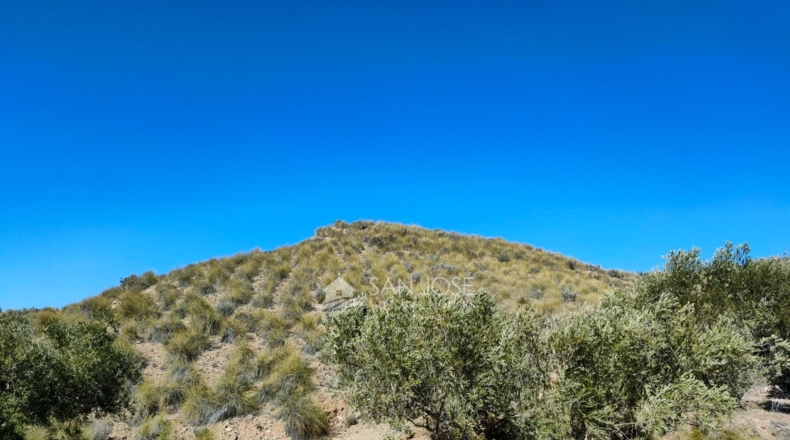Murcia - Abanilla - 37668m2