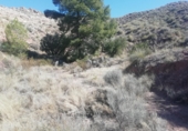 Non-developable land for sale on España, Abanilla, ref: TR106550 photo