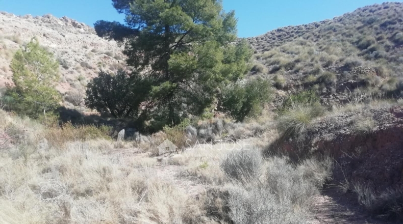 Murcia - Abanilla - 37668m2