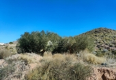 Non-developable land for sale on España, Abanilla, ref: TR106550 photo