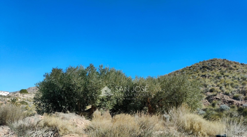 Murcia - Abanilla - 37668m2