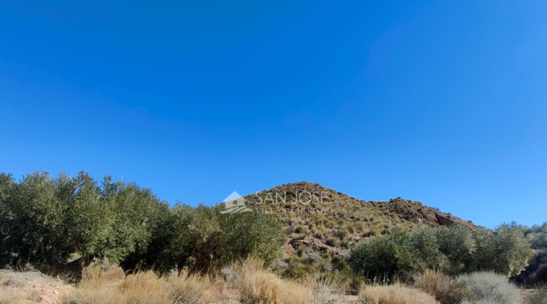 Murcia - Abanilla - 37668m2