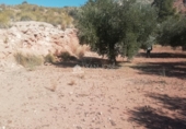 Non-developable land for sale on España, Abanilla, ref: TR106550 photo