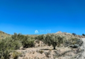 Non-developable land for sale on España, Abanilla, ref: TR106550 photo