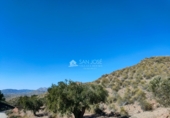 Non-developable land for sale on España, Abanilla, ref: TR106550 photo
