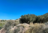 Non-developable land for sale on España, Abanilla, ref: TR106550 photo