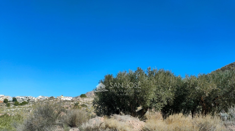 Murcia - Abanilla - 37668m2