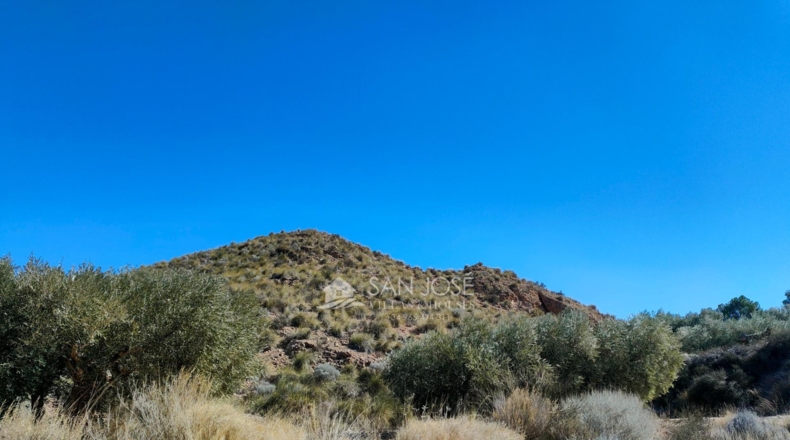 Murcia - Abanilla - 37668m2
