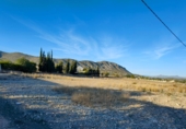 Terreny no urbanitzable en venda a la España, el Fondó de les Neus, ref.: TR106549 foto