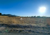 Terreny no urbanitzable en venda a la España, el Fondó de les Neus, ref.: TR106549 foto