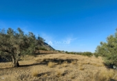 Non-developable land for sale on España, Hondón de las Nieves, ref: TR106547 photo