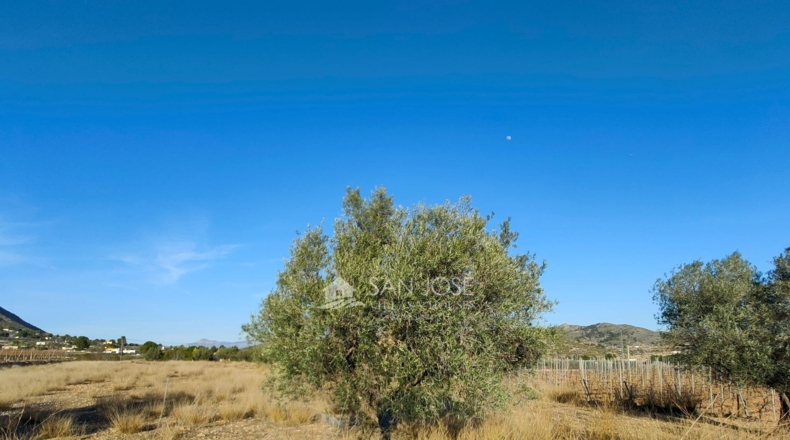 Alicante - La Montañosa - 6048m2