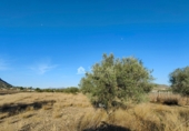 Non-developable land for sale on España, Hondón de las Nieves, ref: TR106547 photo