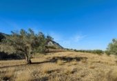 Non-developable land for sale on España, Hondón de las Nieves, ref: TR106547 photo