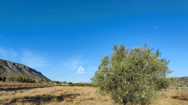 Alicante - La Montañosa - 6048m2