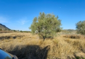 Non-developable land for sale on España, Hondón de las Nieves, ref: TR106547 photo