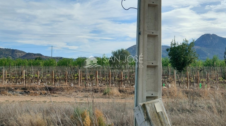 Alicante - La Columna - 9720m2