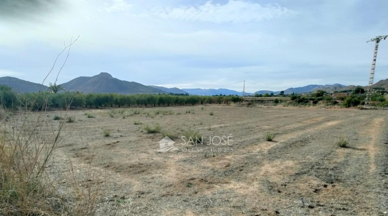 Alicante - La Columna - 9720m2
