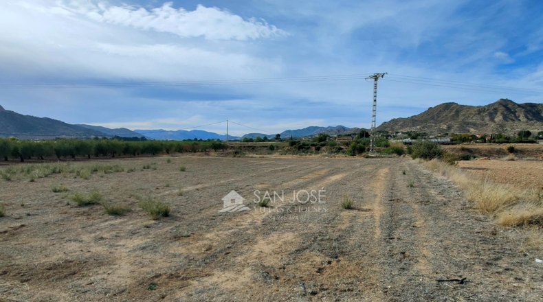 Alicante - La Columna - 9720m2