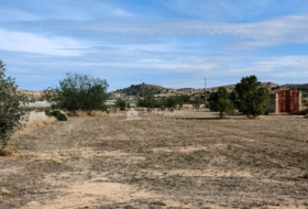 Foto 13