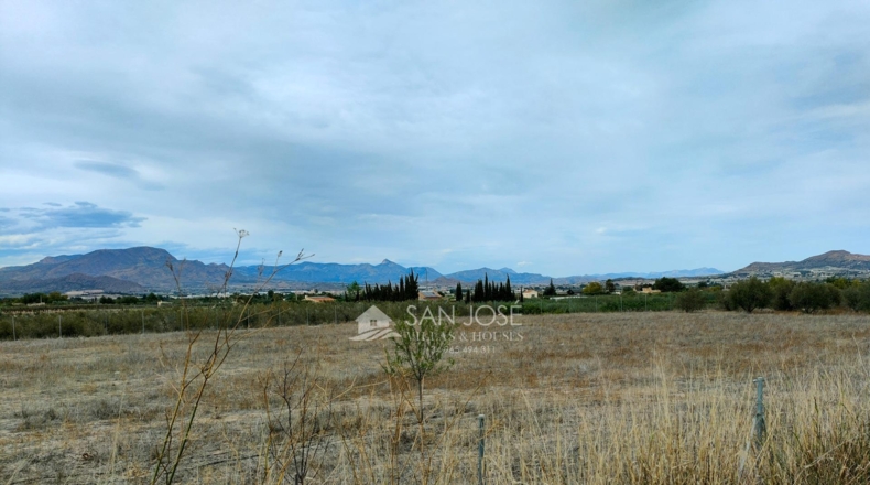 Alicante - Aspe - 7321m2