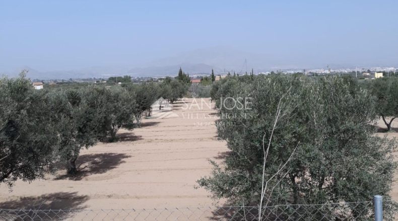Alicante - Aspe - 7321m2
