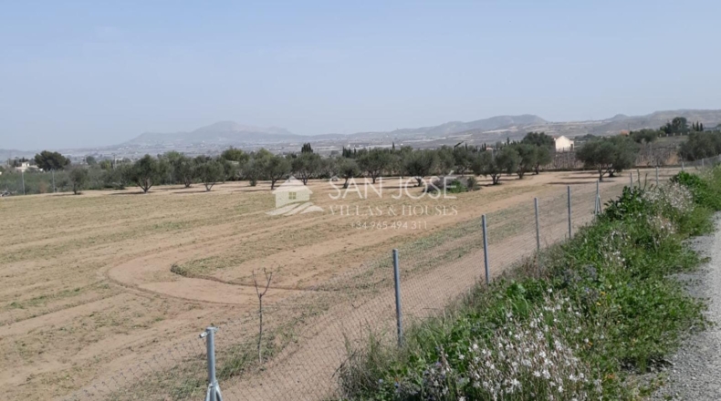 Alicante - Aspe - 7321m2