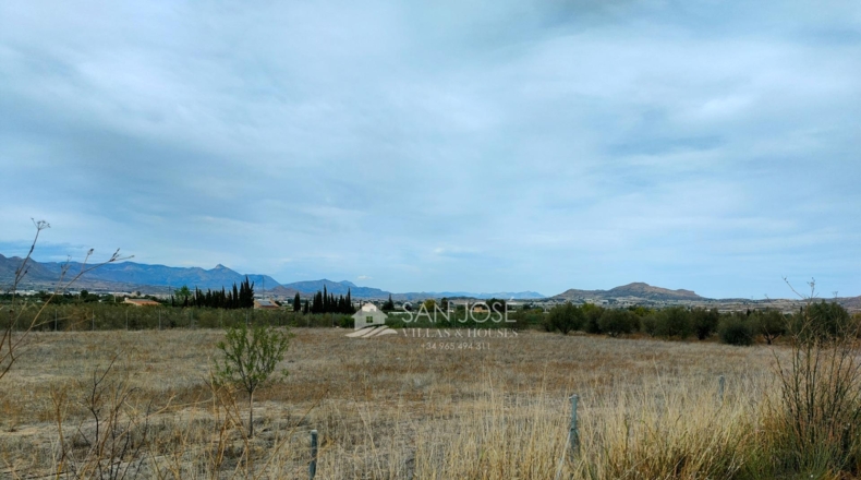 Alicante - Aspe - 7321m2